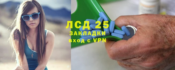 ГАЛЛЮЦИНОГЕННЫЕ ГРИБЫ Володарск