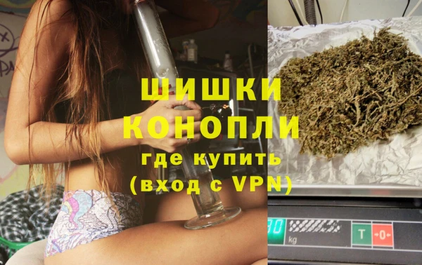 СК Волосово