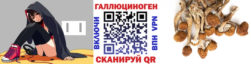 Купить где  Шебекино  Псилоцибиновые грибы Cubensis 